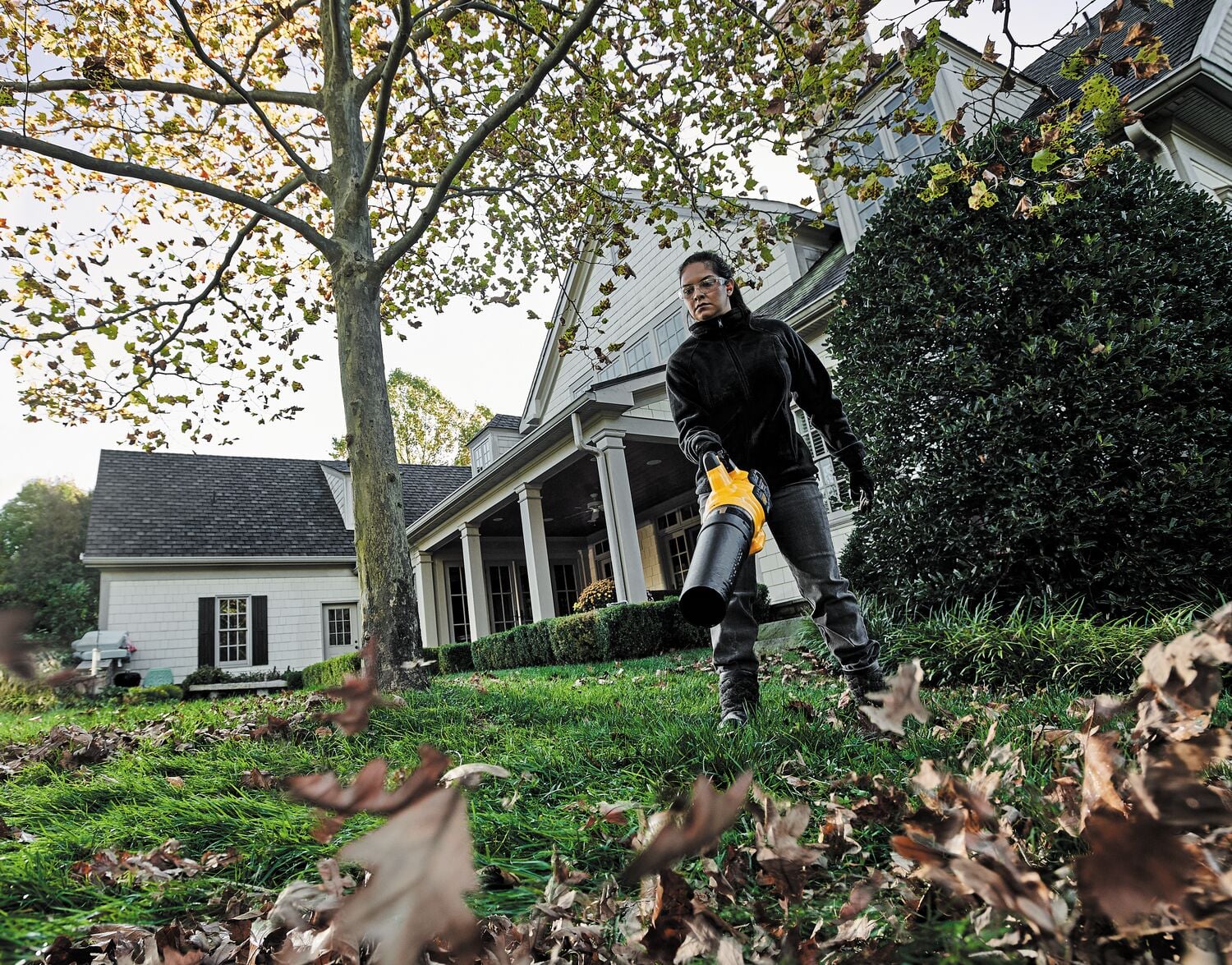 A person is using a DEWALT leaf blower to clear fallen leaves from a lawn in front of a house. The individual is standing outdoors near a large tree, wearing a dark jacket and gloves. The house has white walls and a porch with columns.